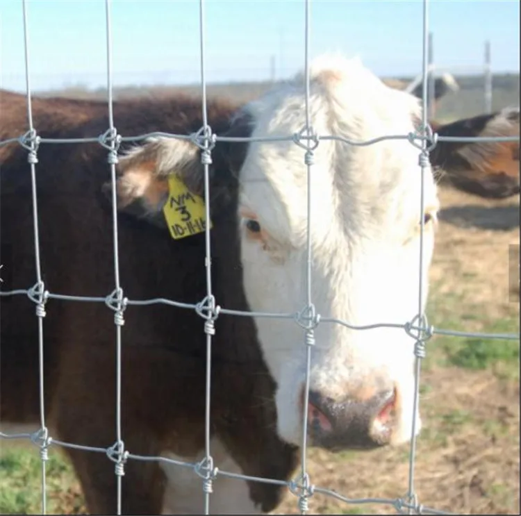 Low Price wholesale horse and goat fencing field fence farm simple soccer field fence