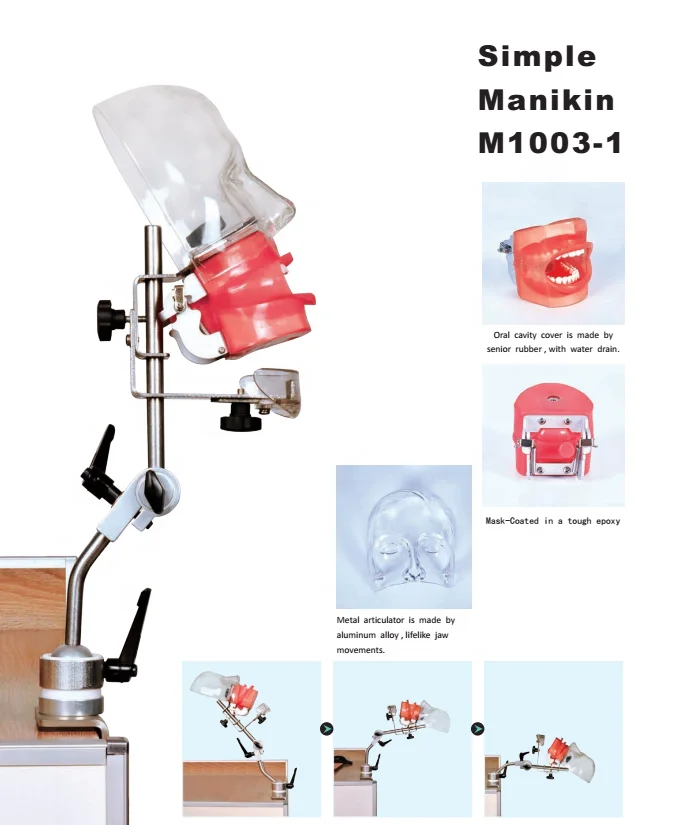 Dental Training Simulation System/Training System with Dental Phantom with Tooth Model