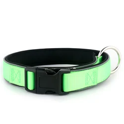 Factory price Nylon webbing Neoprene reflective padded Dog collar with Metal O ring