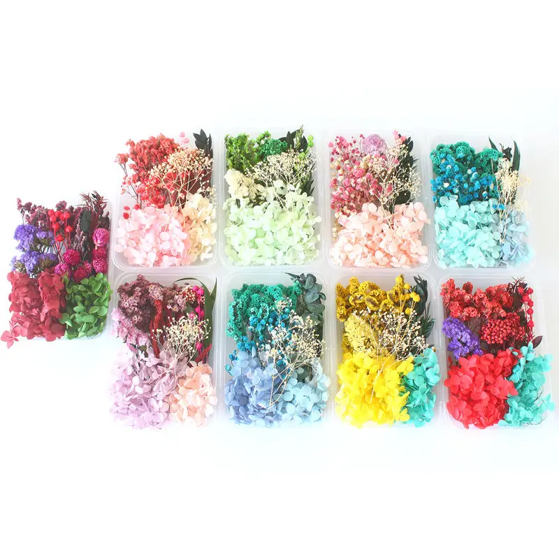Random DIY Boxed Mixed Dried Flower For Resin Art Nails Decor Mobile Phone Shell Real Flower