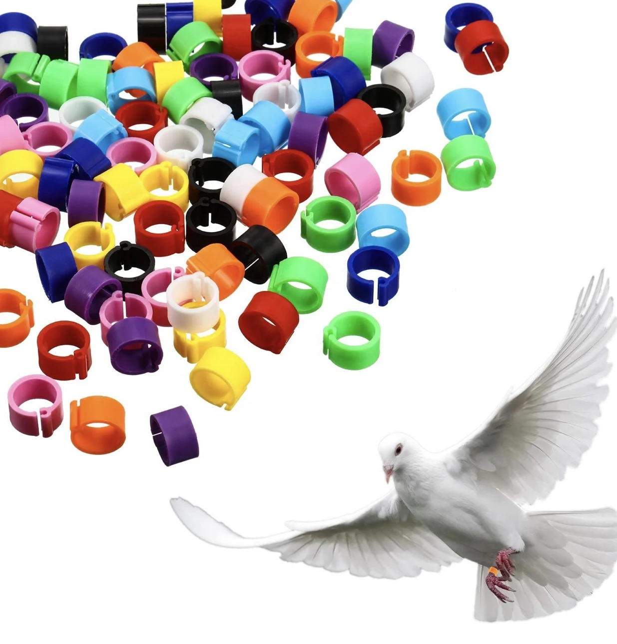 300 pieces 8 mm bird ring leg bands plastic multi color pigeon foot bands clip on leg rings for chicks bantam finch lovebird