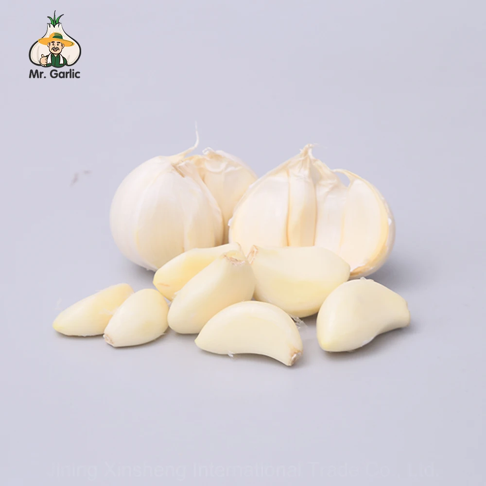 Low Price Wholesalenord Garlic Import From China Fresh Pure White Garlic