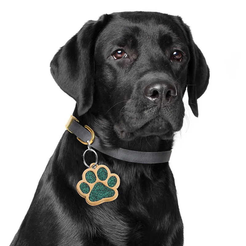 New arrival Shiny gold color Paw shape zinc alloy dog pet ID tag with custom logo in stock