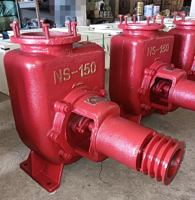 6 inch NS-150 Self-priming Pump for Indonesia market