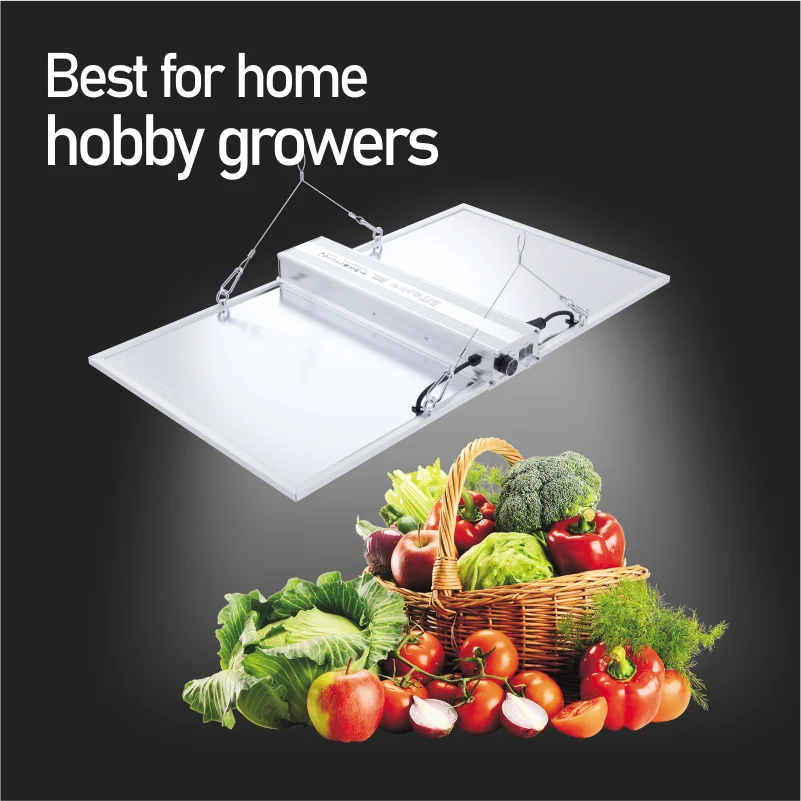 50% Discount USA Stock Full Spectrum Samsung Grow Board 150W 300W 480W Led UV IR Grow Light