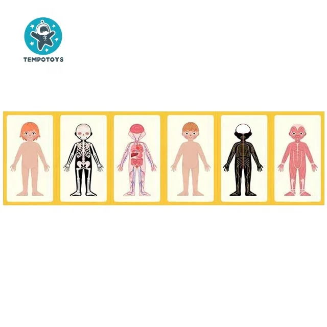 Игрушки Tempo игрушки для детей 108 шт. Магнитные фигурки персонажи обучения детские «сделай сам» наука