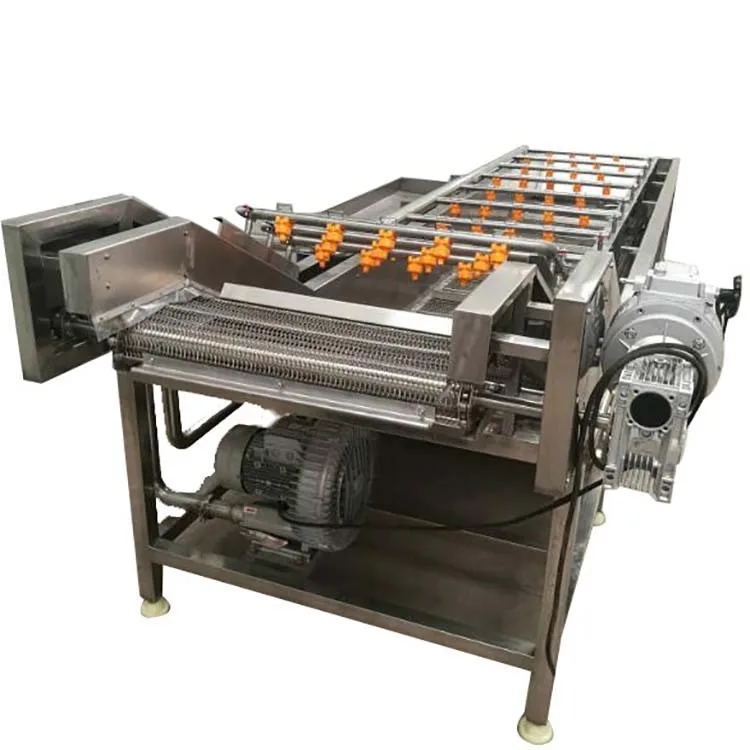 Air Bubble Banana Cleaner Blueberry Washer Bubble Type Blueberry Banana Washing Machine For Sale