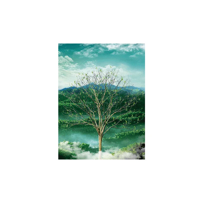 Four season tree design 4 flip lenticular design hot seller