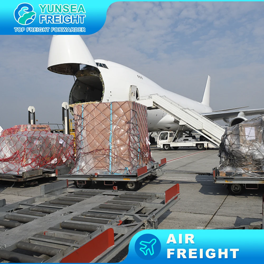 Professional Dropshipping Agent Products 2021 China Transit Time Hours Origin Type Free Service Days Place Model Route Everyday
