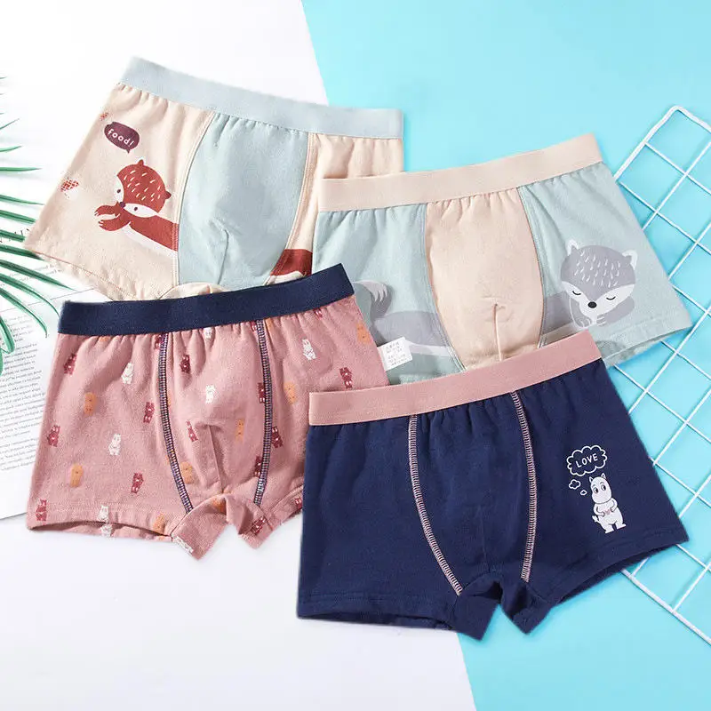Latest Fashion Brief Wear Boy Underwear Wearing Briefs Boys Underwear Boxer Briefs