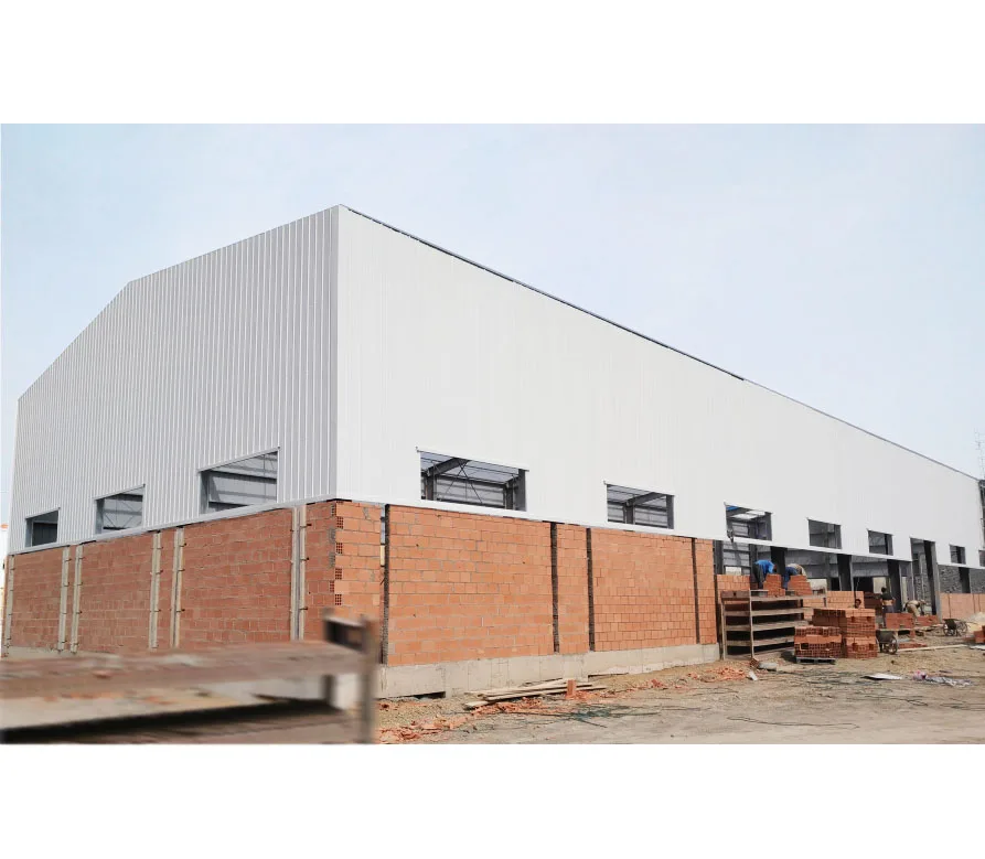 Steel Structure Warehouse Building Design Cold Storage Room Warehouse