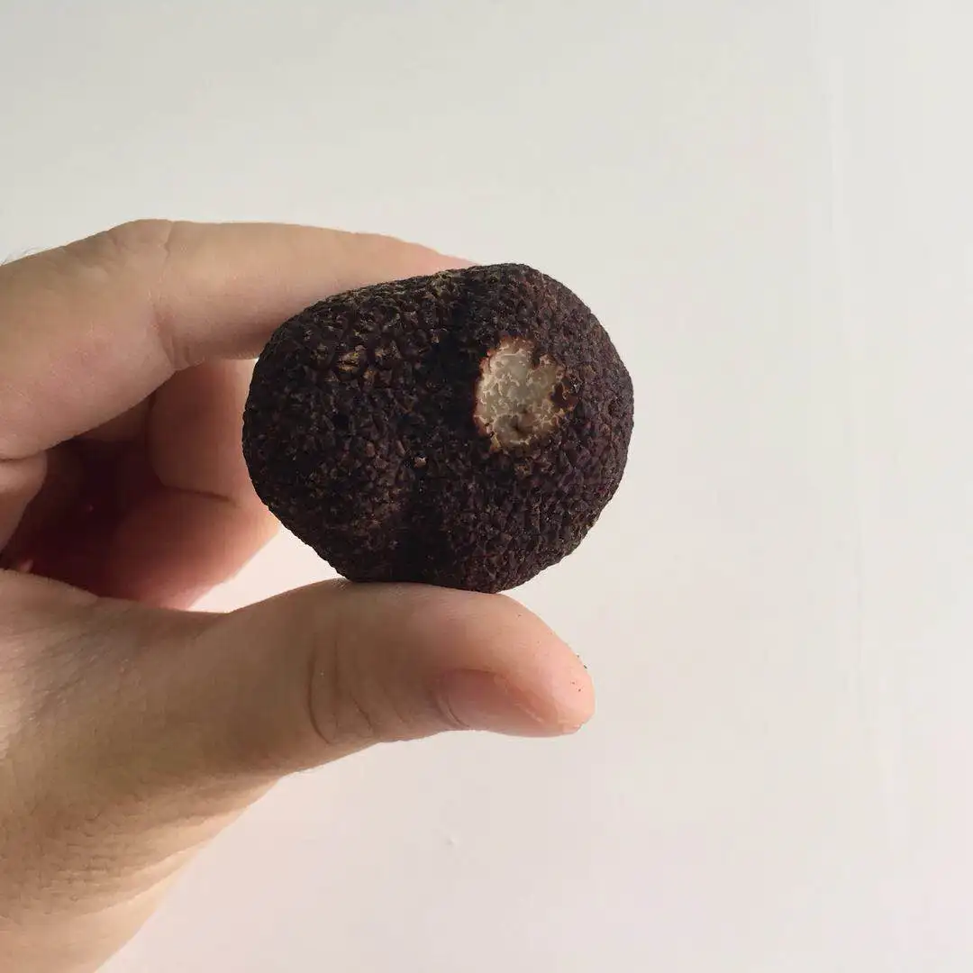 Новый сезон, дикий свежий китайский зимний черный трюфель