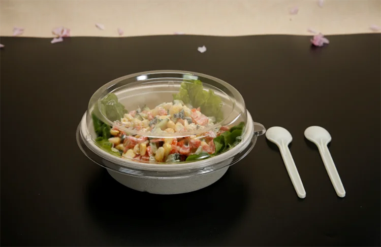 bio degradable packing oval serving tray sugarcane plates bagasse bowls