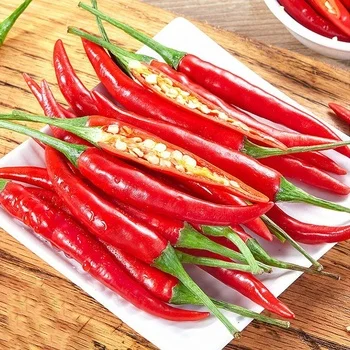 High Quality Low Cost Raw Fresh Hot Spice And Herb Large Red Chili Peppers Sweet Red Paprika Chilli Pepper Cooking Spice