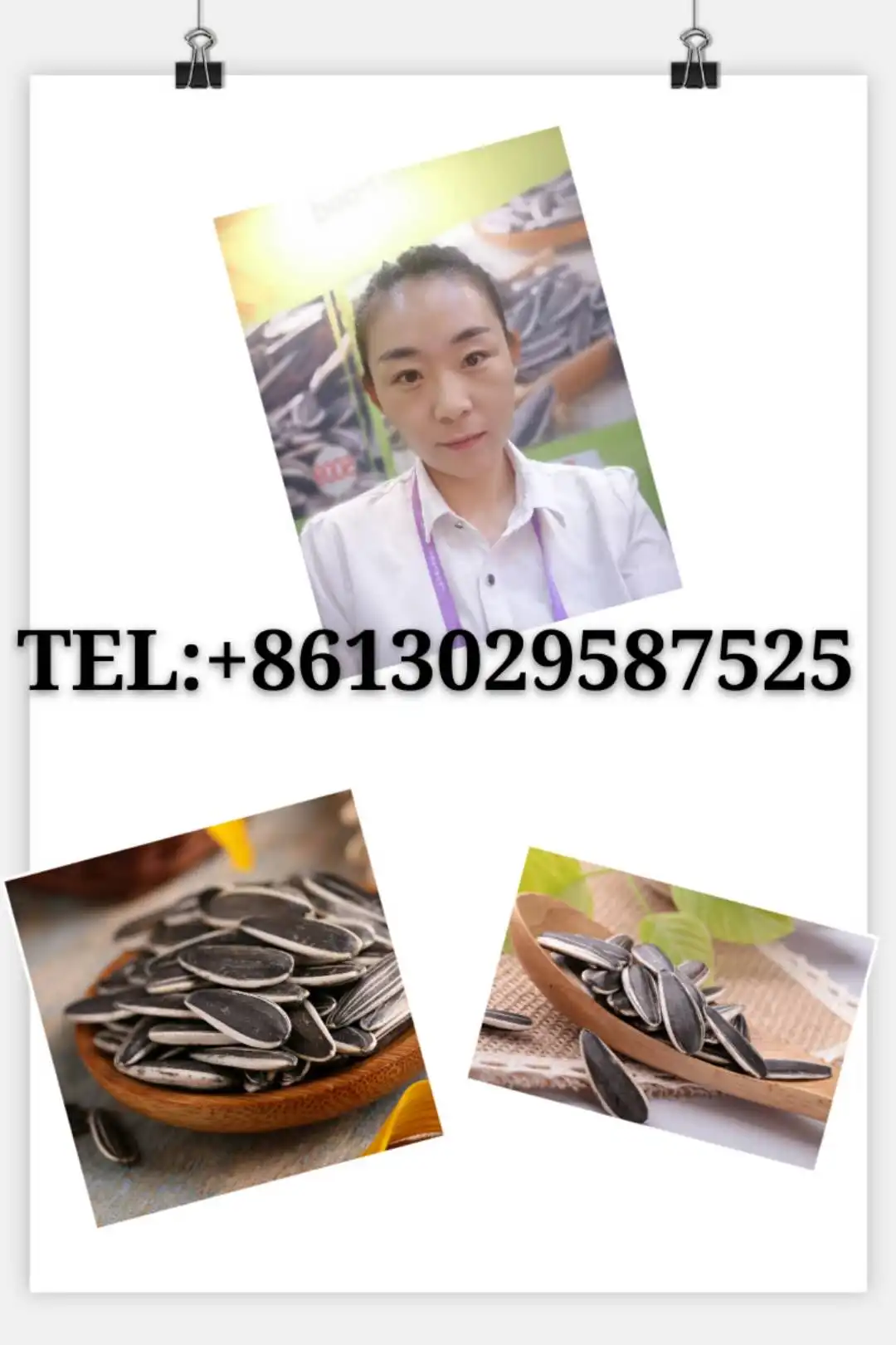 wholesale Chinese sunflower seeds 601