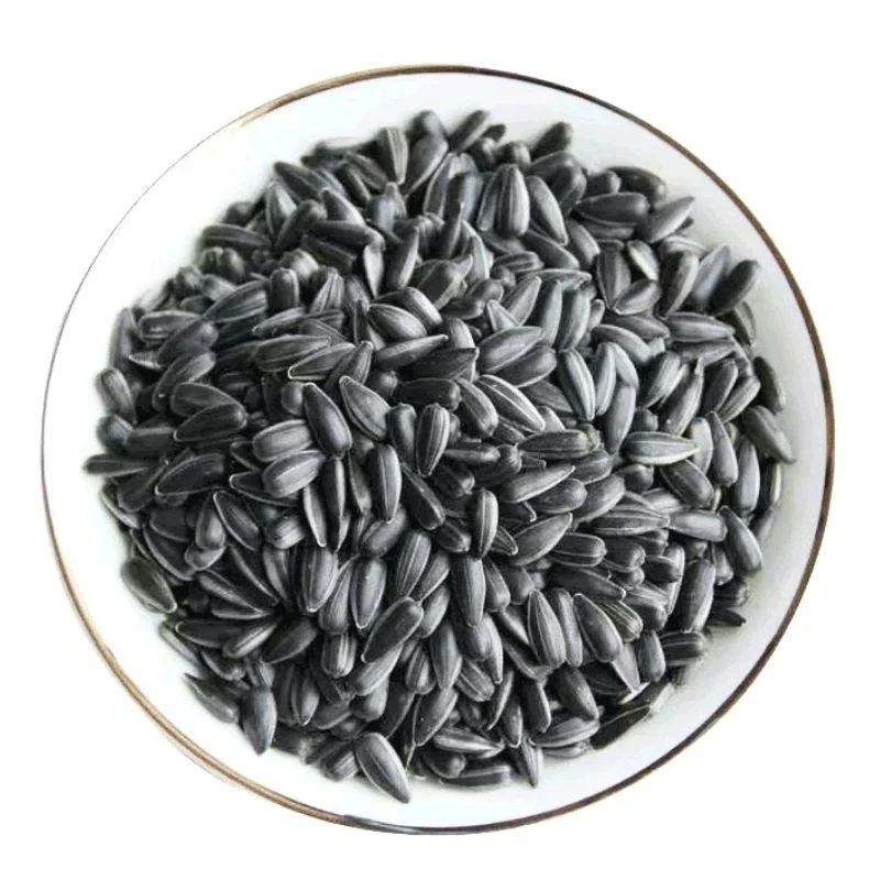 Оптовая продажа семена подсолнечника ядра маленькое черное масло для кормления