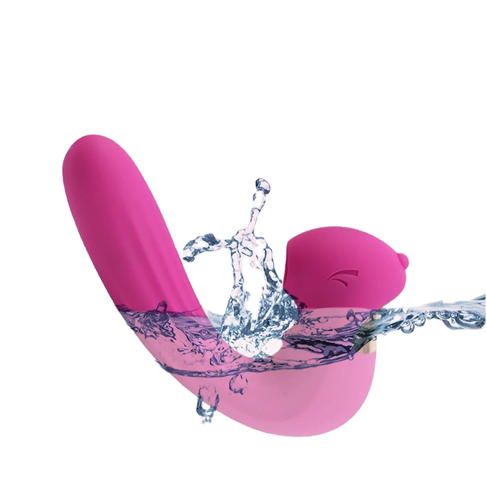 2 In 1 Rechargeable Massager Suction Clitoris Stimulator Sucking Sex Toy The Lovely Pink Squirrel Vibrator Vibrating For Woman