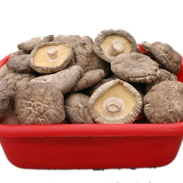 
Grade A Dry Shiitake Mushrooms 
