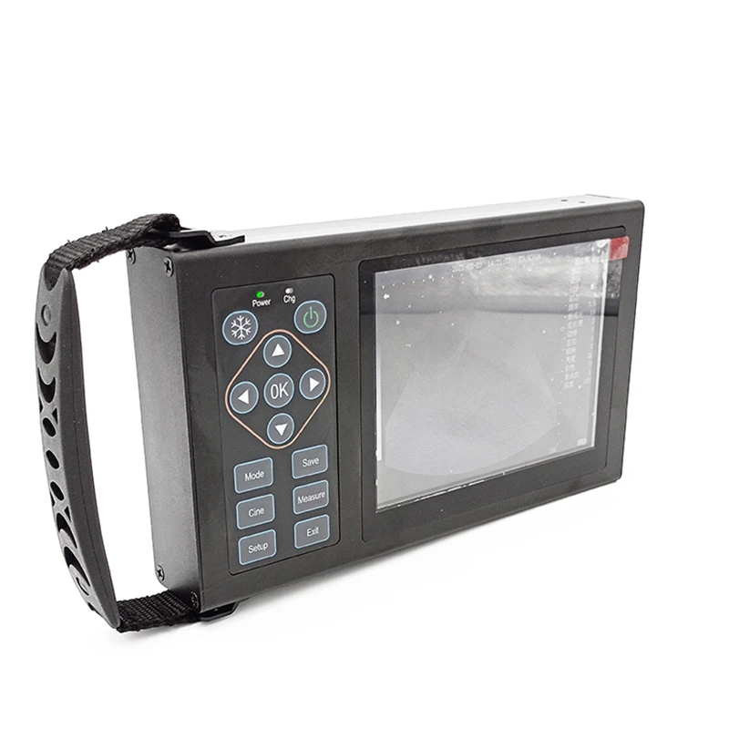 Factory hot sale ultrasonic mechanical sector probe scanner pig sheep dog testing equipment