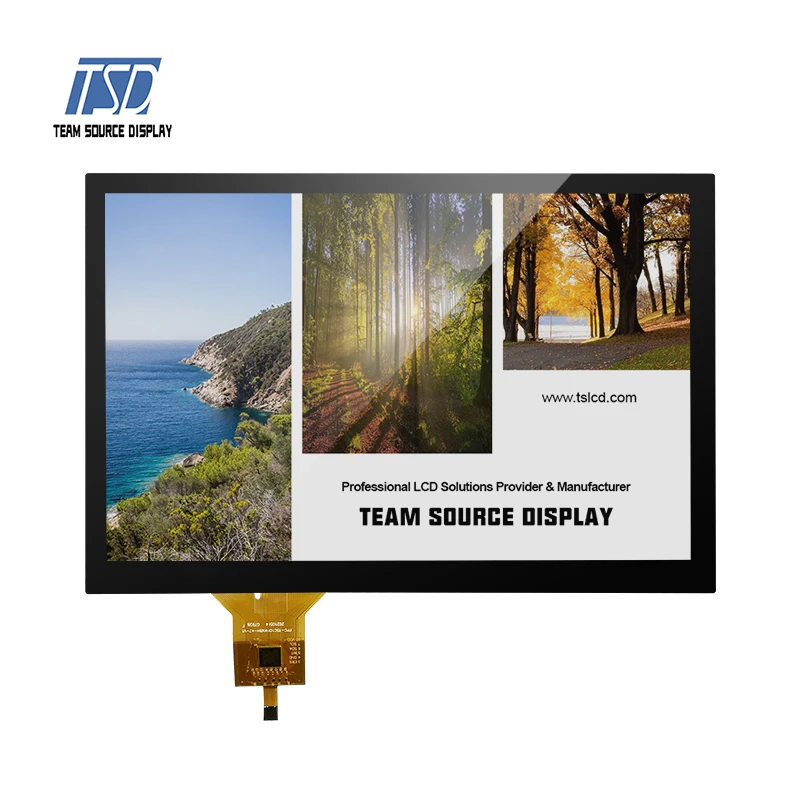 10.1' 10.1 Inch 1280x800 Resolution IPS TFT LCD PCAP CTP Capacitive Touch Screen