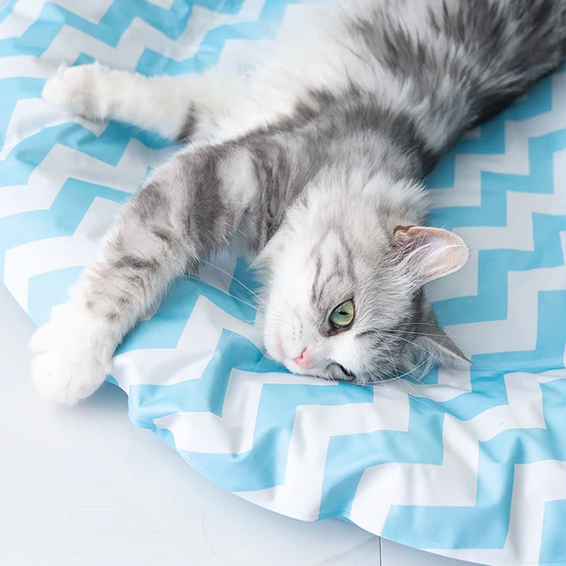 Summer Cooling Mat Sleeping Pad Various Sizes Printed Design for Dog Travel