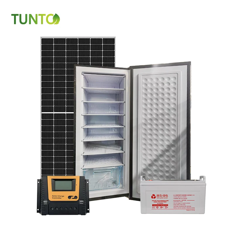 Cheapest price Upright solar ice maker freezer BD-198 24 volt ice maker with solar panel batteries popular in Africa