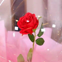 12inch, 20 inch, 24 inch clear transparent balloon LED light up bobo balloons round, heart shape, star shape balls