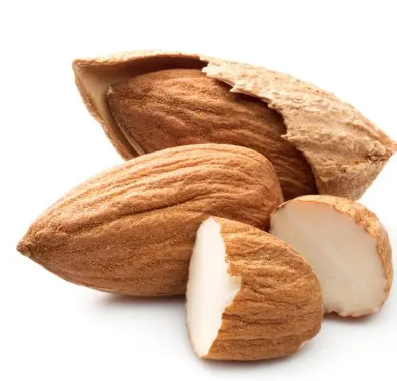 High grade Almond Raw Almond Nut Wholesale Good Quality Nuts Mix Almond (1600538689207)