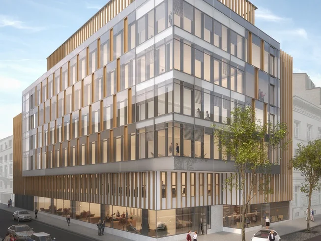 Brazil Washed Process Quality Arabica Green Coffee Beans Raw Beans Wholesale