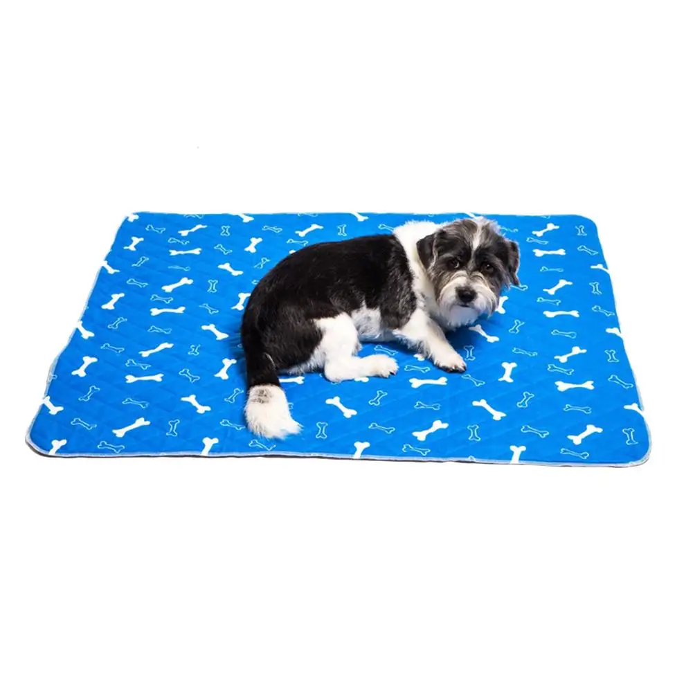 Pet Training Products Washable Dog Replaceable Training Pads Potty Training Pads Disposable Pads