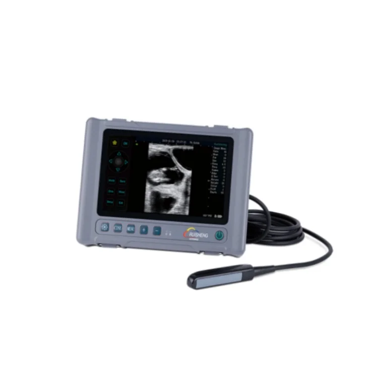 Portable Handheld Professional Palm Full-Digital Veterinary Ultrasound System Price Ruisheng T8