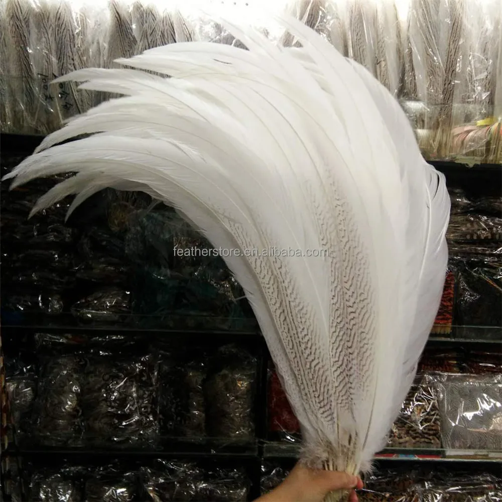65-70cm Long White Silver Pheasant Tail Ostrich Feather Natural Pattern for Carnival Feather Costumes and Decorations or Crafts