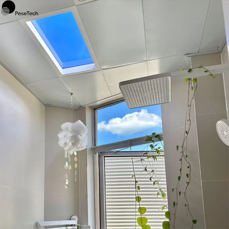 PeseTech 300*600cm led light dimmable led ceiling light smart home lights led panel artificial skylight for bathroom