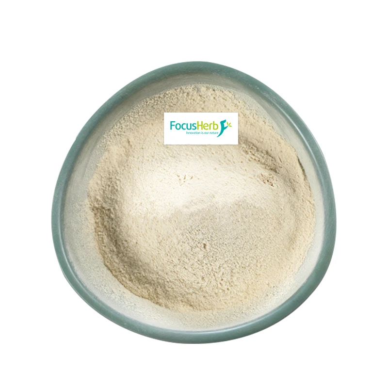 
FocusHerb HCA Powder Hydroxycitric Acid 60%, Garcinia Cambogia Extract 