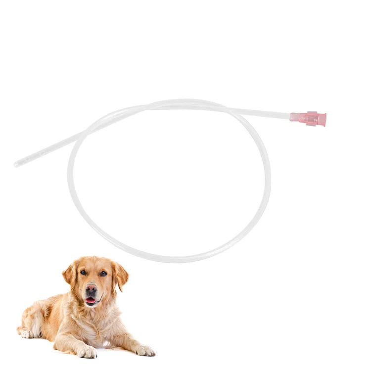 Cheap Price Canine Veterinary Artificial Insemination Dog Urinary Catheter