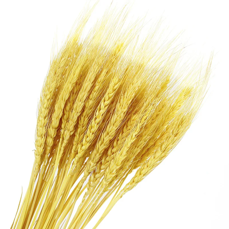Wholesale decorative wheat ear flower arrangement dried flower wheat