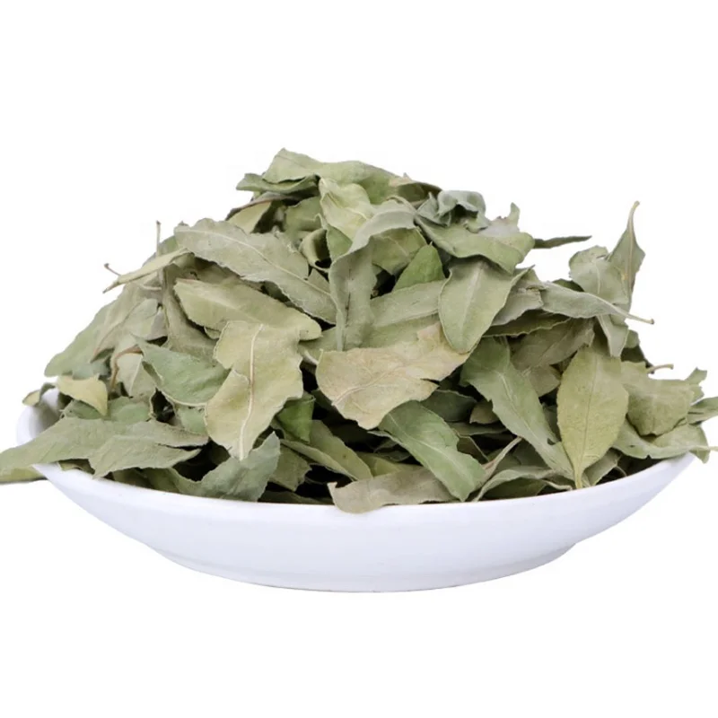 luo bu ma ye high quality Natural Apocynum Venetum Tea / Bluish Dogbane Tea