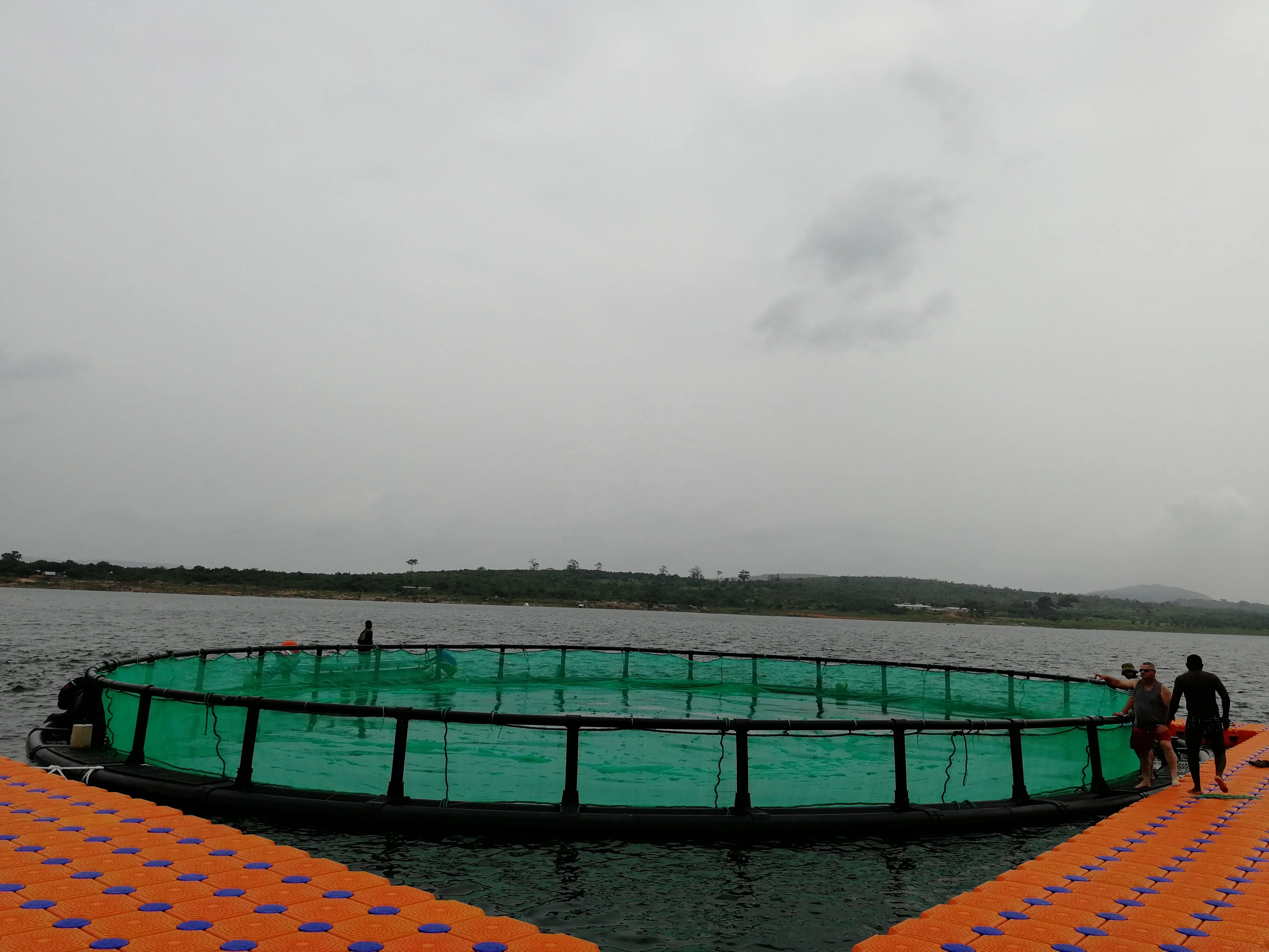 Round Cage in Deep Sea for Salmon Fish Farm