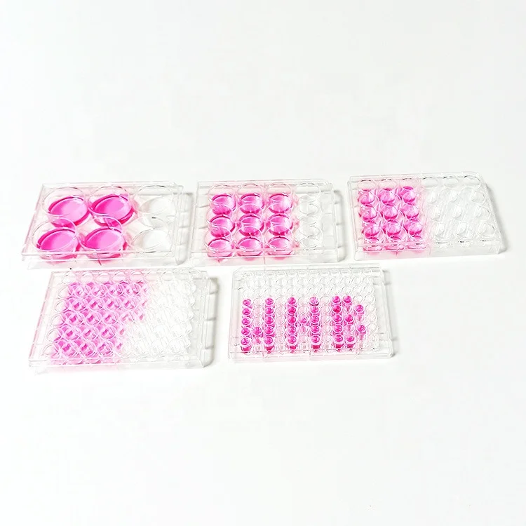 Plastic Cell Culture Plate High Clarity 100% Virgin Polystyrene OEM,ODM CN;JIA E-beam LM-CCP Lonmed CE Flat,cone and Round