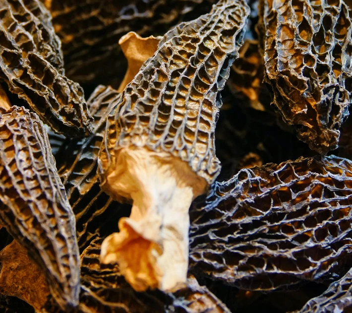 Оптовая продажа питательные и здоровые грибы продукты питания