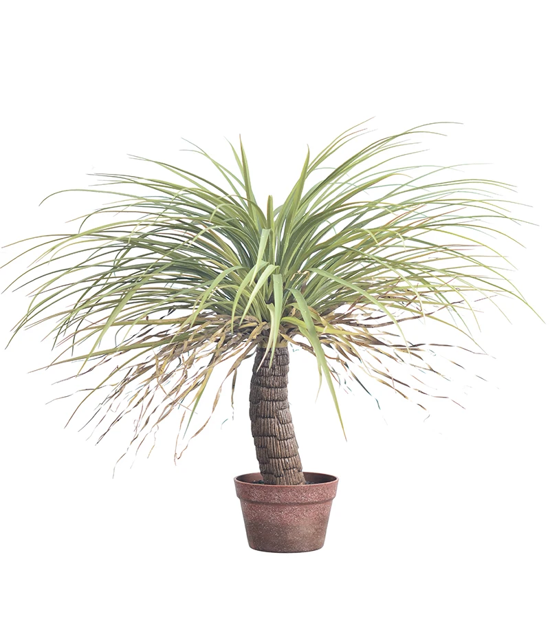 78cm Nifloral Artificial Tree Agave Plant faux Potted tree plant for interior design decoration