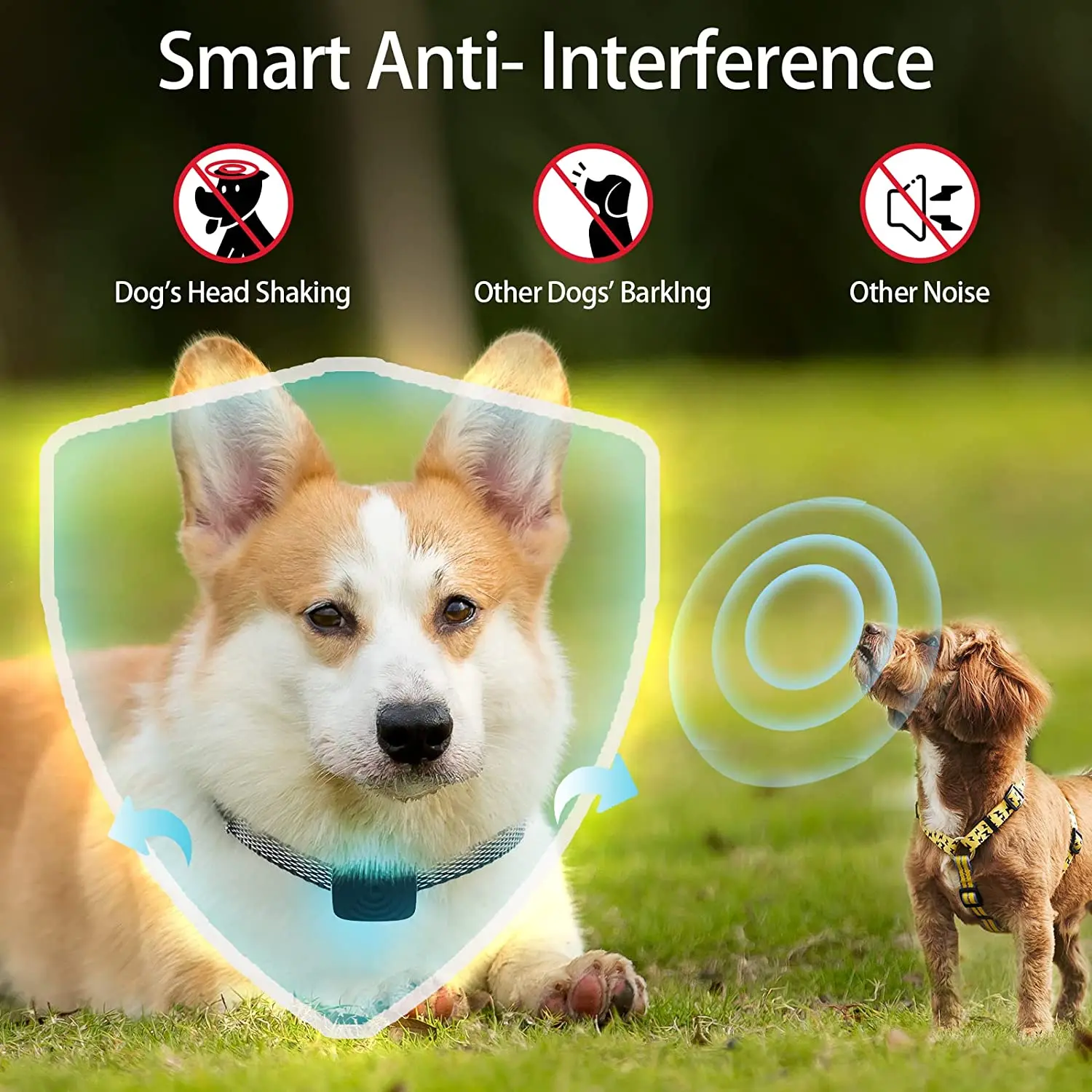 iPetDognew best price good quality made in China electric shock self defense Professional