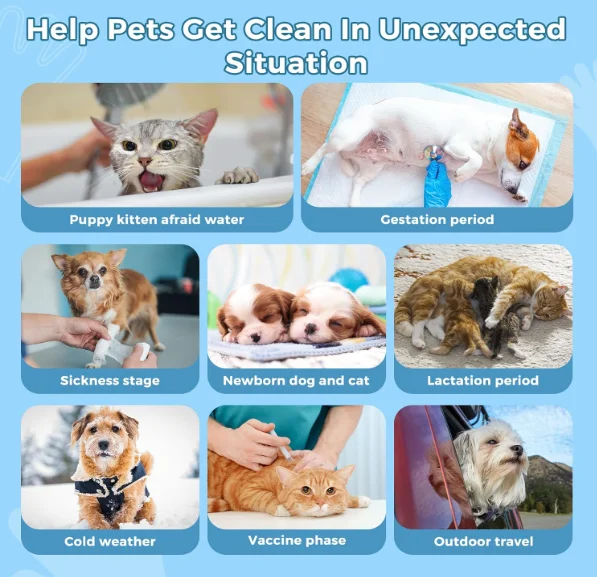 Factory Wholesale Custom Logo Disposable Non-woven Fabric Cat Cleaning Gloves Dog Pet Gloves Wet Wipes