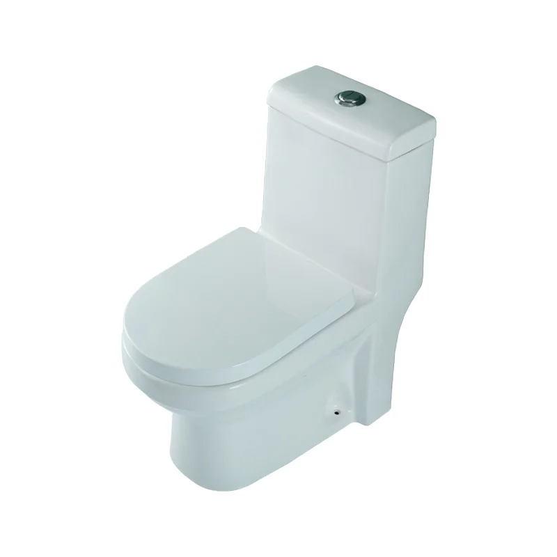 WDSI Muslim Toilett Sanitaryware Items Rak Toilets