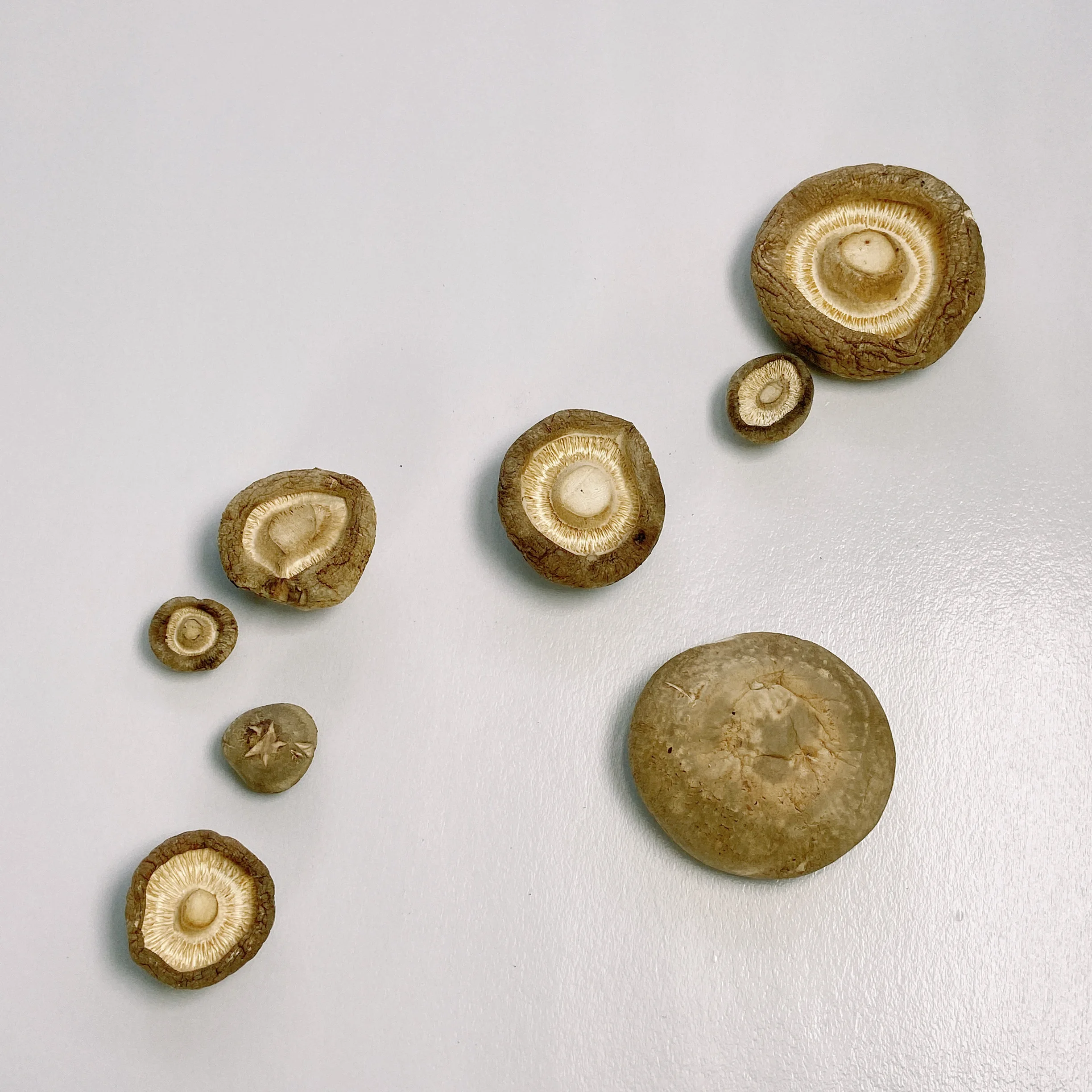 China Manufacture Fine Tawny High Quality Organic Crisp Dried Shiitake Mushrooms