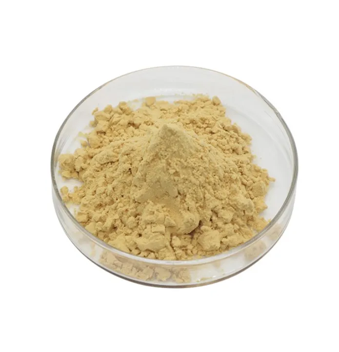 Ferula Asafoetida Extract Hing Powder to Helps Relieve Asthma