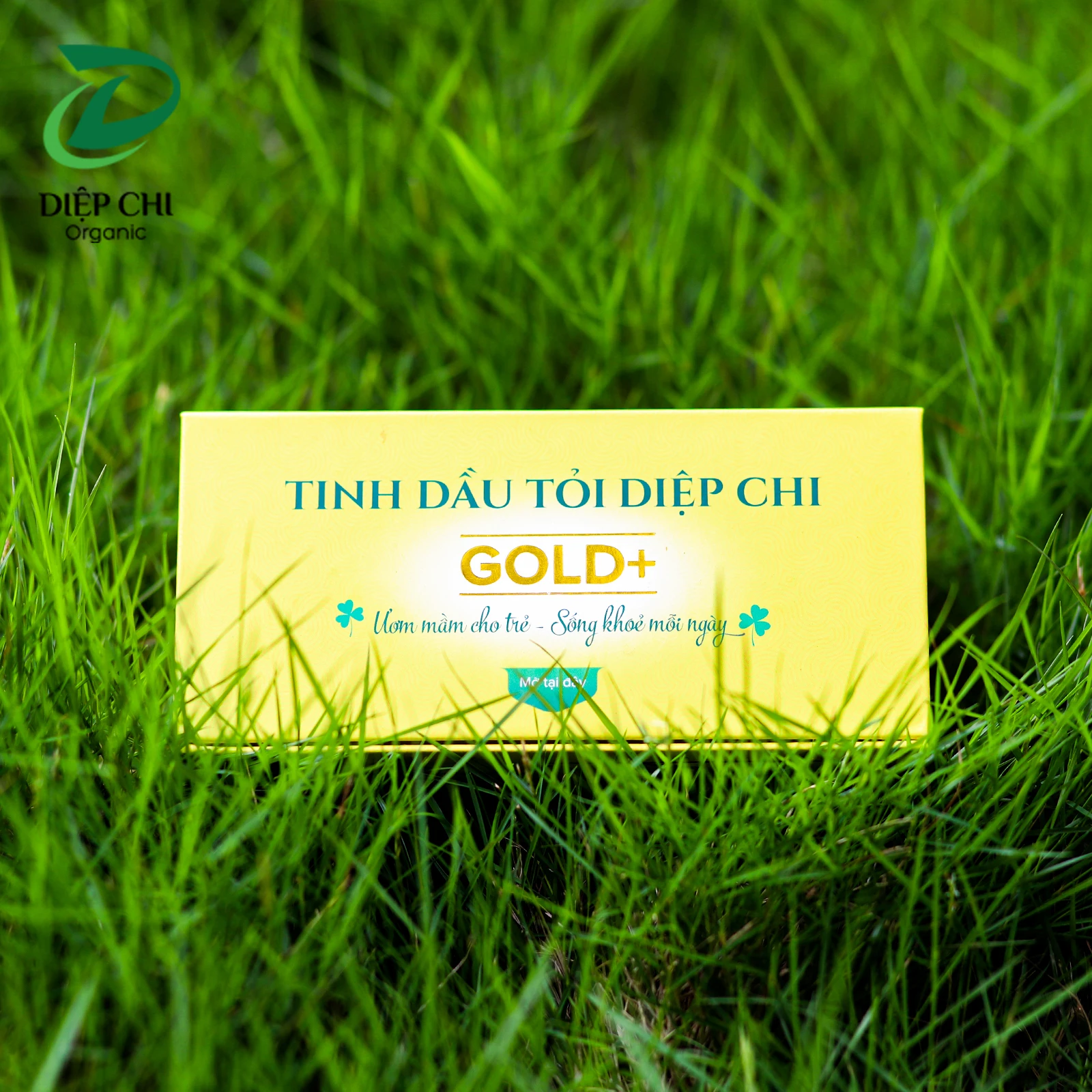 Высококачественный Сироп от кашля, свежий вьетнамский продукт, натуральный Сироп от кашля