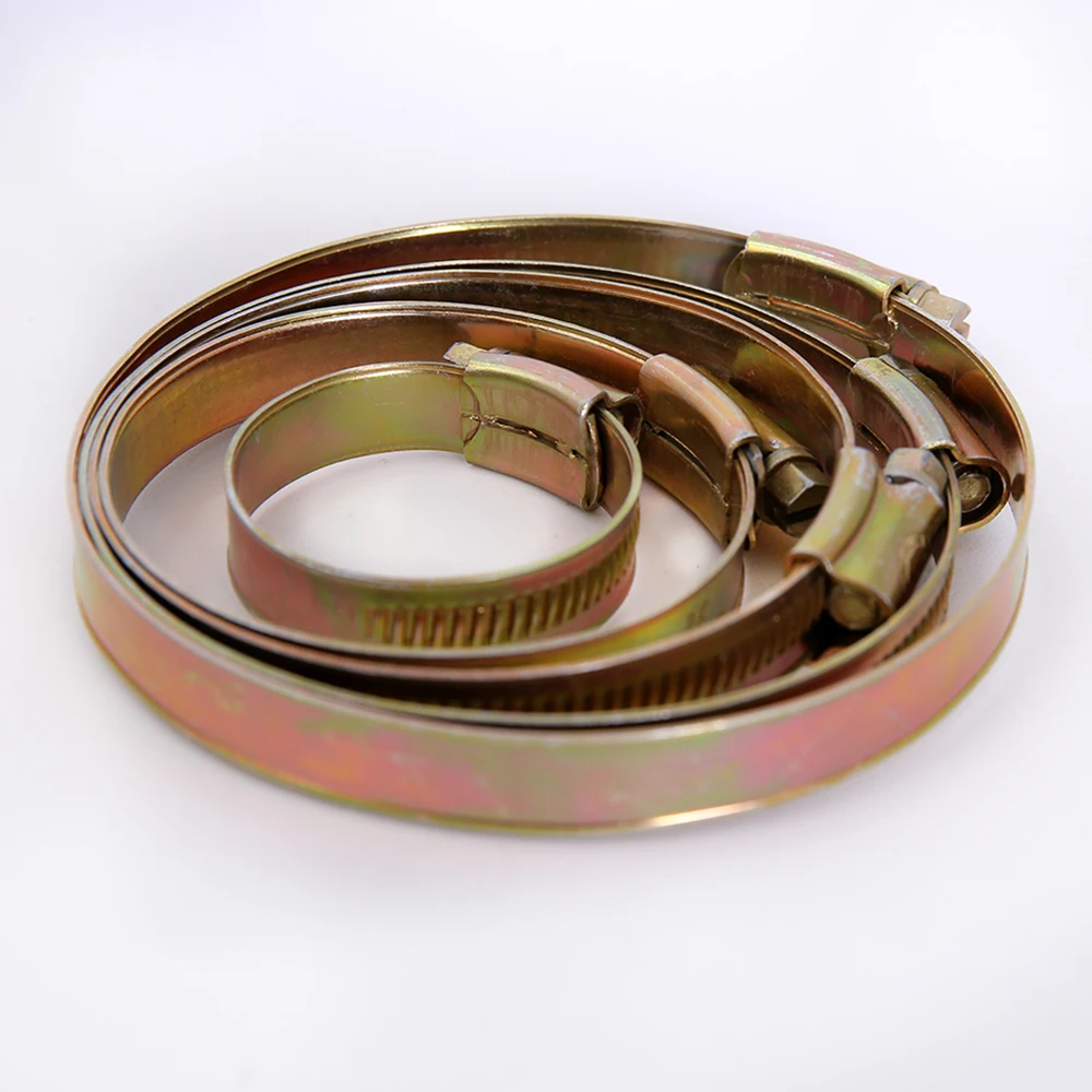 Hot sale SS304/316 constant tension spring loaded T bolt automotive stainless steel hose clamp