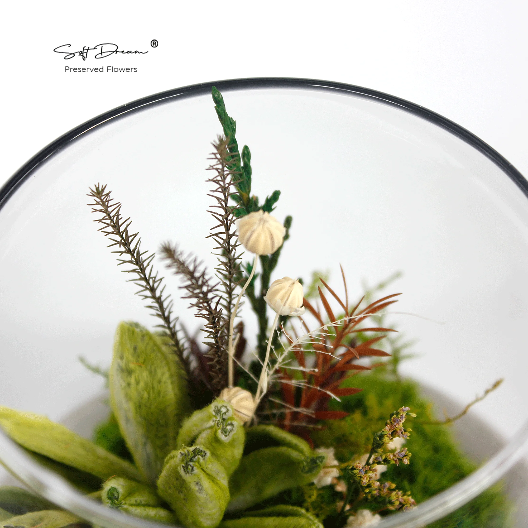 Eternal Beauty: Preserved Moss, Cotton Wool Sage Leaves, and Everlasting Floral Decor for Home and Gift
