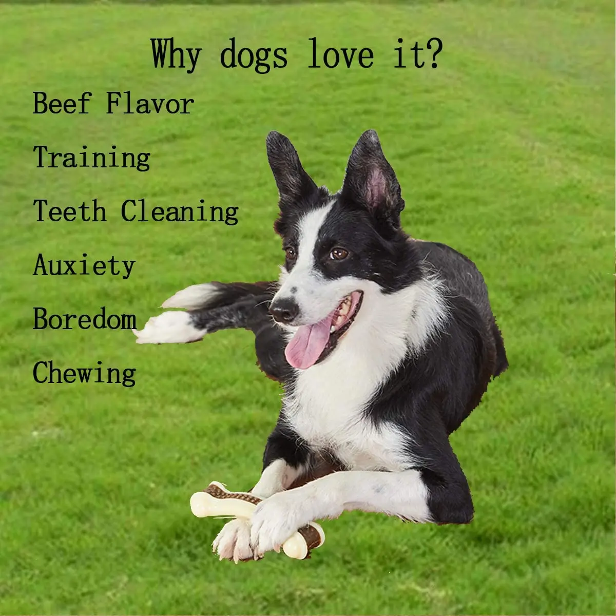 Eco-Friendly Beef Flavor Dog Teething Chew Toys Bones Pet Molar Food Toy Pet Chewing Feeding Toys